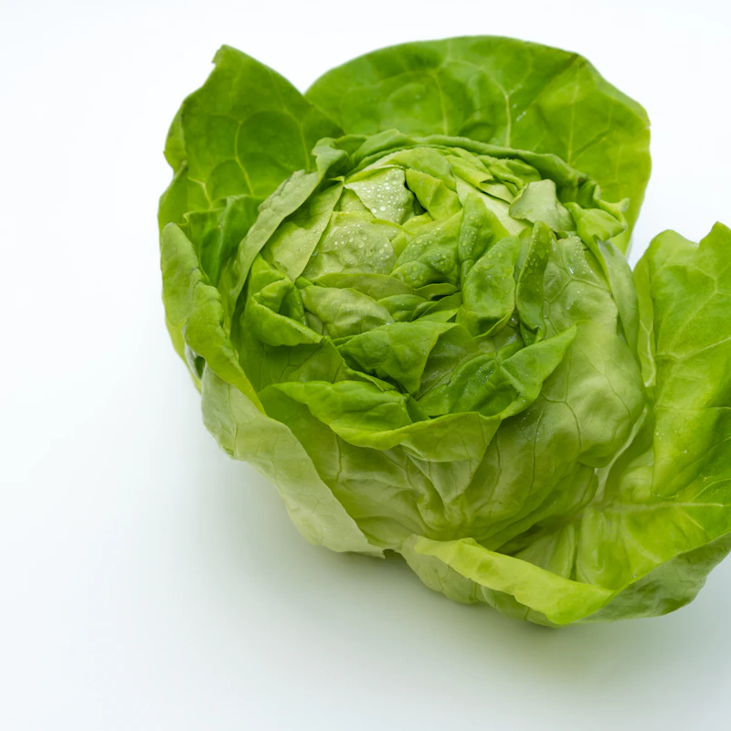 Butter Lettuce Twin Pack β Fresh Produce at Peasley Store