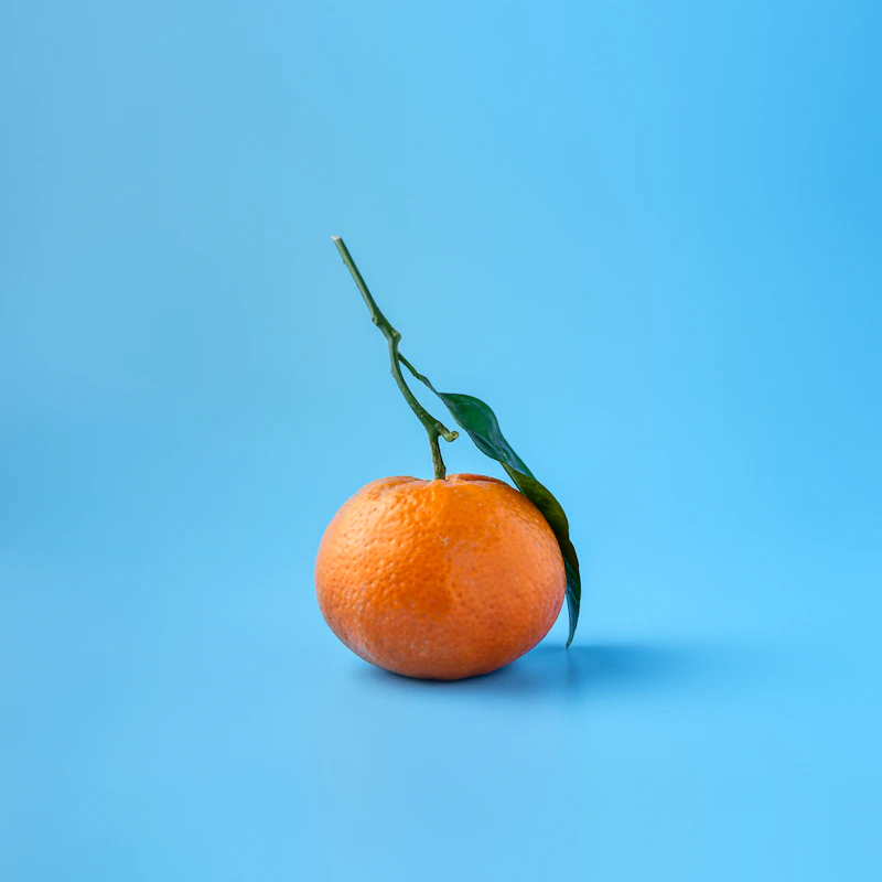 Navel Orange Bag 4 lb β Fresh Produce at Peasley Store