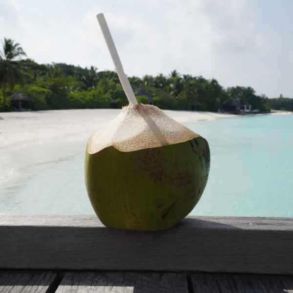 Pure Coconut Water 6-Pack — Beverages at Peasley Store