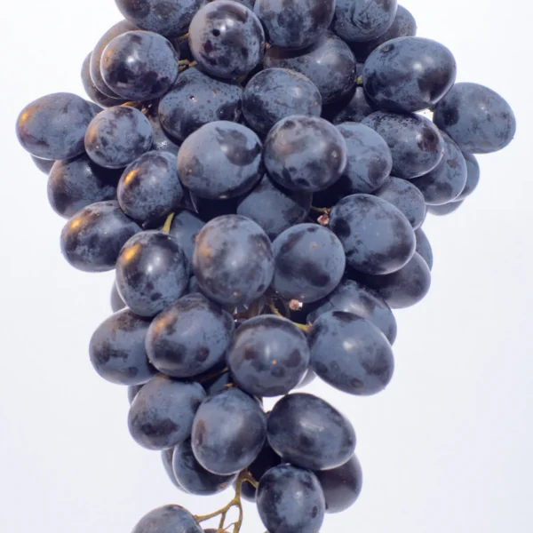 Red Seedless Grapes 2 lb — Fresh Produce at Peasley Store